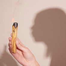 Charger l'image dans la galerie, encens purifiant