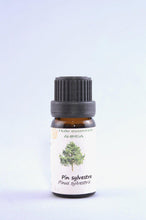 Charger l'image dans la galerie, Huile essentielle de Pin sylvestre